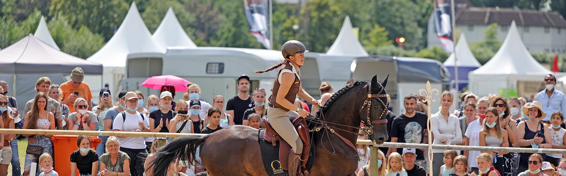 Sport & Wellbeing sector banner
